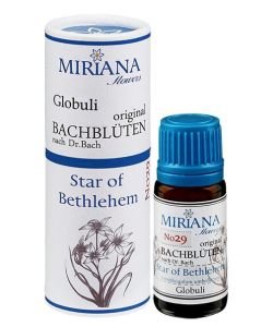 Etoile de Bethléem 29 Fleur de Bach SANS ALCOOL, 10 g